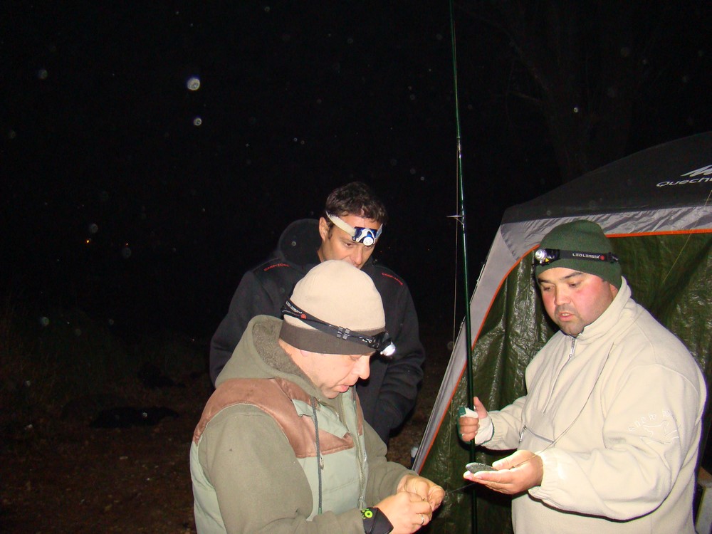 DSC00763 (Copy).JPG