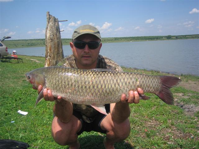 Copy of Picture 072 (Small) 2.JPG