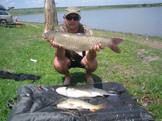 Picture 073 (Small) 2.JPG