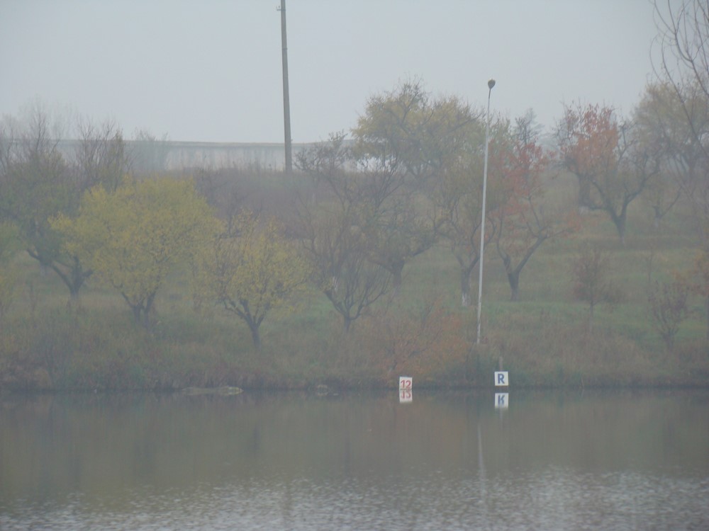 DSC00837 (Copy).JPG