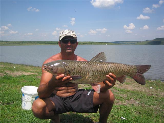 si prietenul Laurentiu 3 torpile (9 kg. 6 kg. si 4.5 kg.)