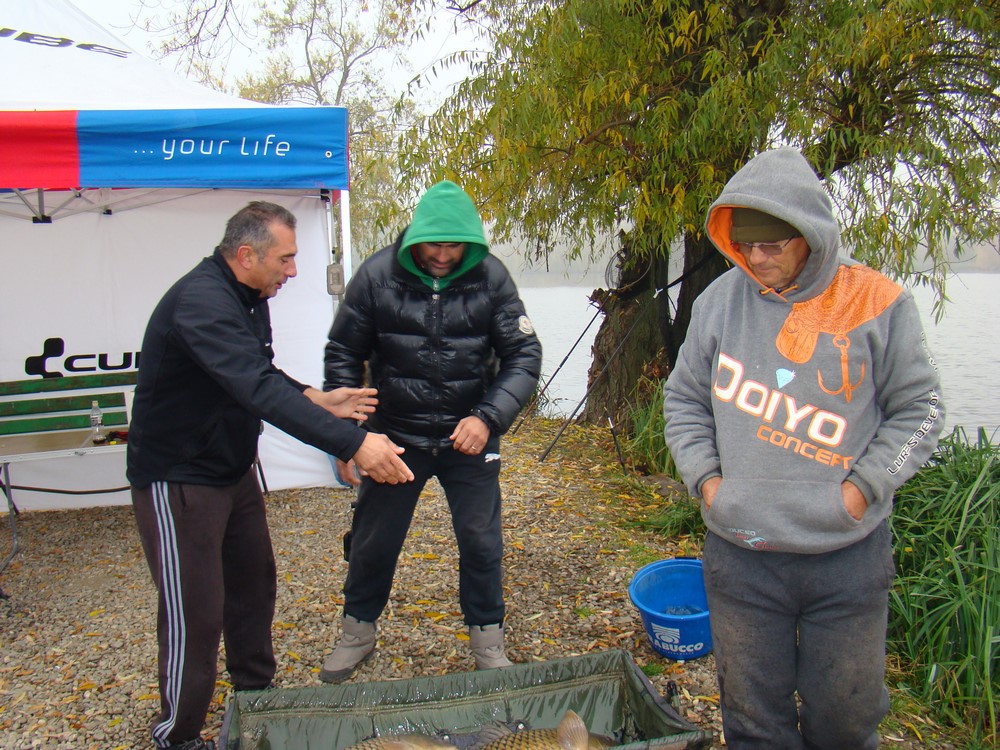 DSC00887 (Copy).JPG