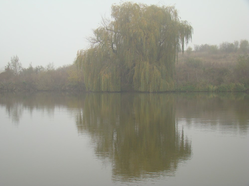 DSC00920 (Copy).JPG
