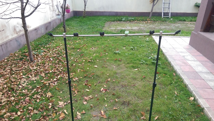 IMAG0534.jpg