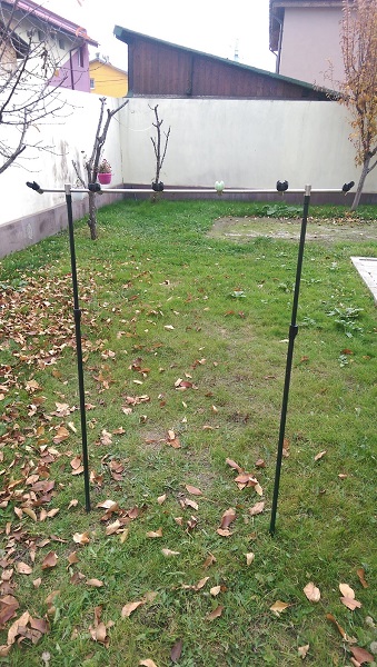 IMAG0531.jpg