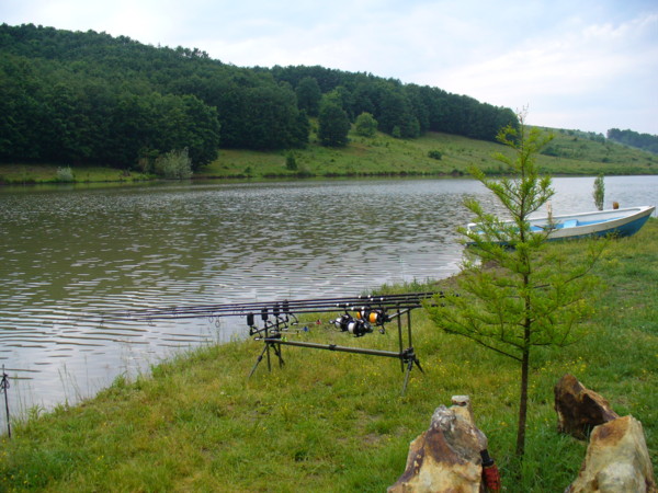 P1030388  a.jpg
