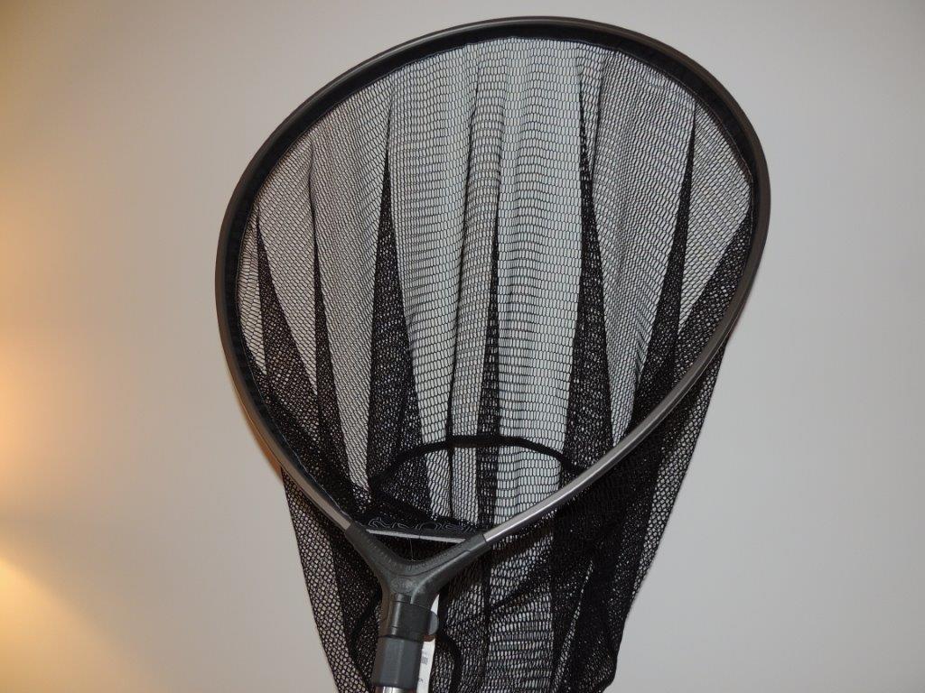 DSCN6168.jpg
