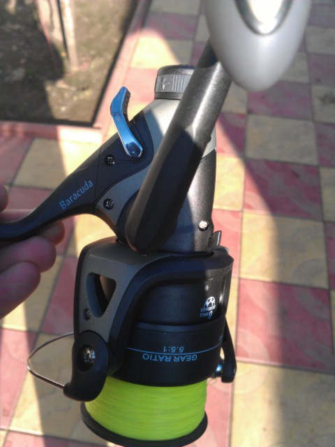 IMAG0005.jpg