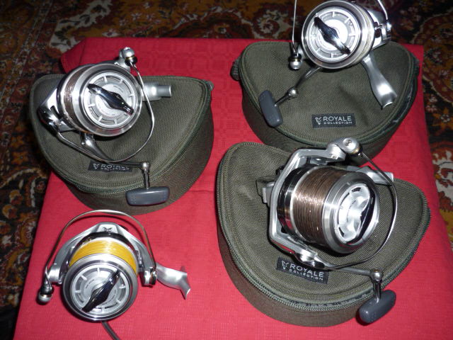 P1030198.JPG