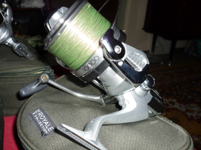 P1030200.JPG