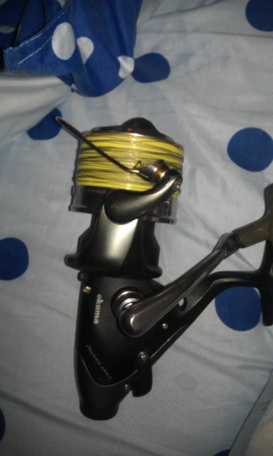 IMAG0590.jpg
