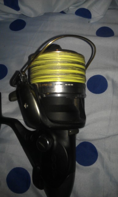 IMAG0592.jpg