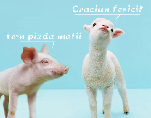 Te-n pizda matii.png