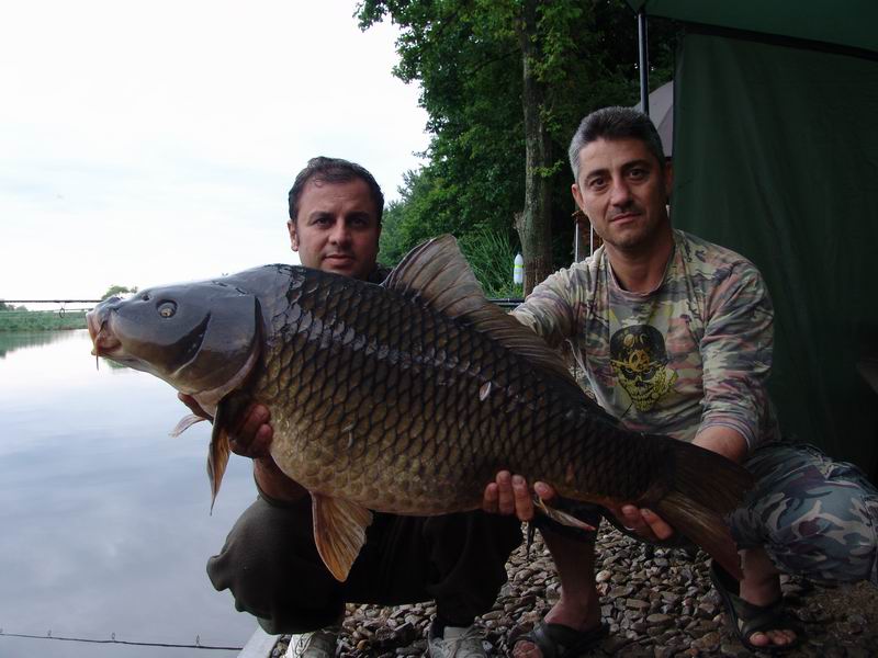 Resize of DSC02241.JPG