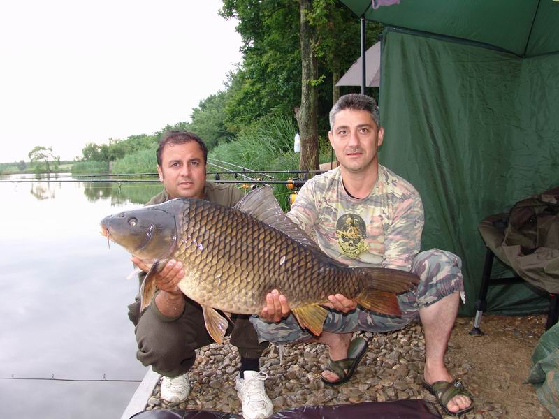 Resize of DSC02239.JPG