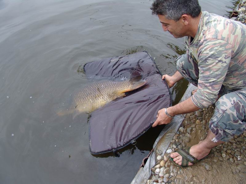 Resize of DSC02244.JPG