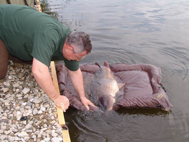 Resize of DSC02252.JPG