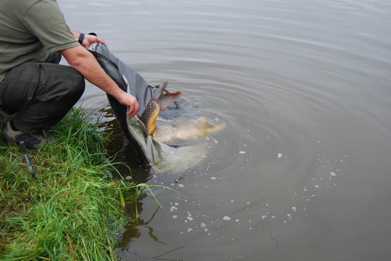 Resize of DSC_0021.JPG