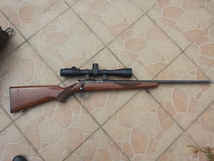 pusca 1.jpg