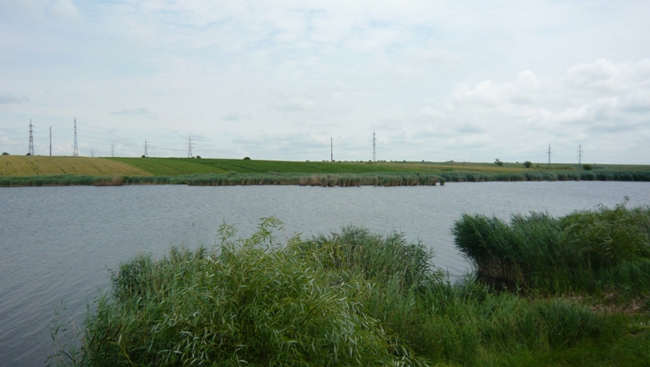 P1070464.JPG