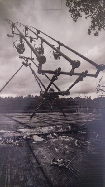 C1.jpg