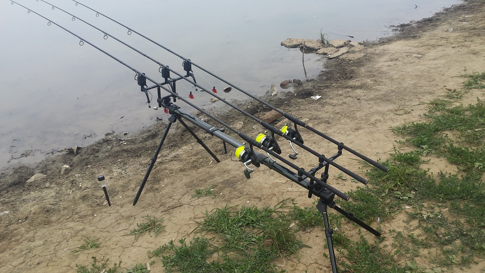 20150627_180704_cr.jpg