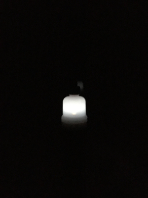 image.jpeg