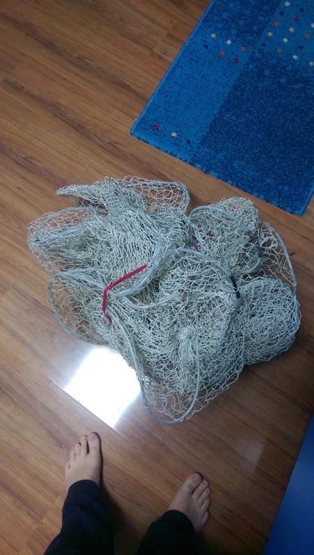 IMAG0233.jpg