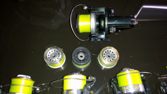 20160310_122334.jpg