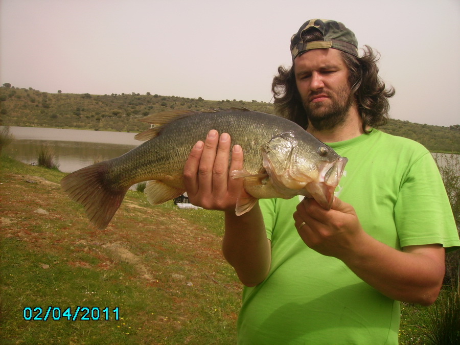 Bass Master_05.JPG