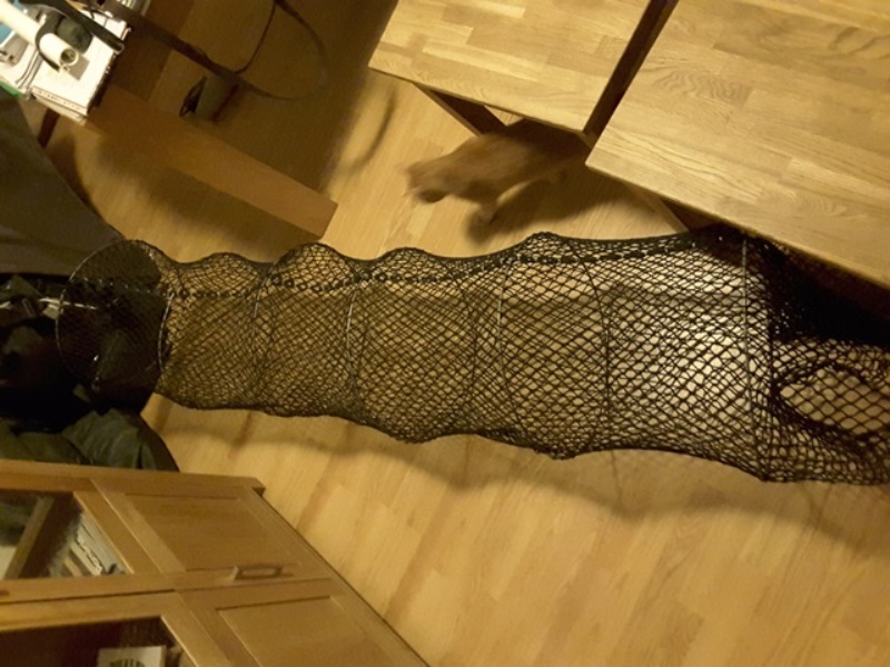 20160321_195229.jpg