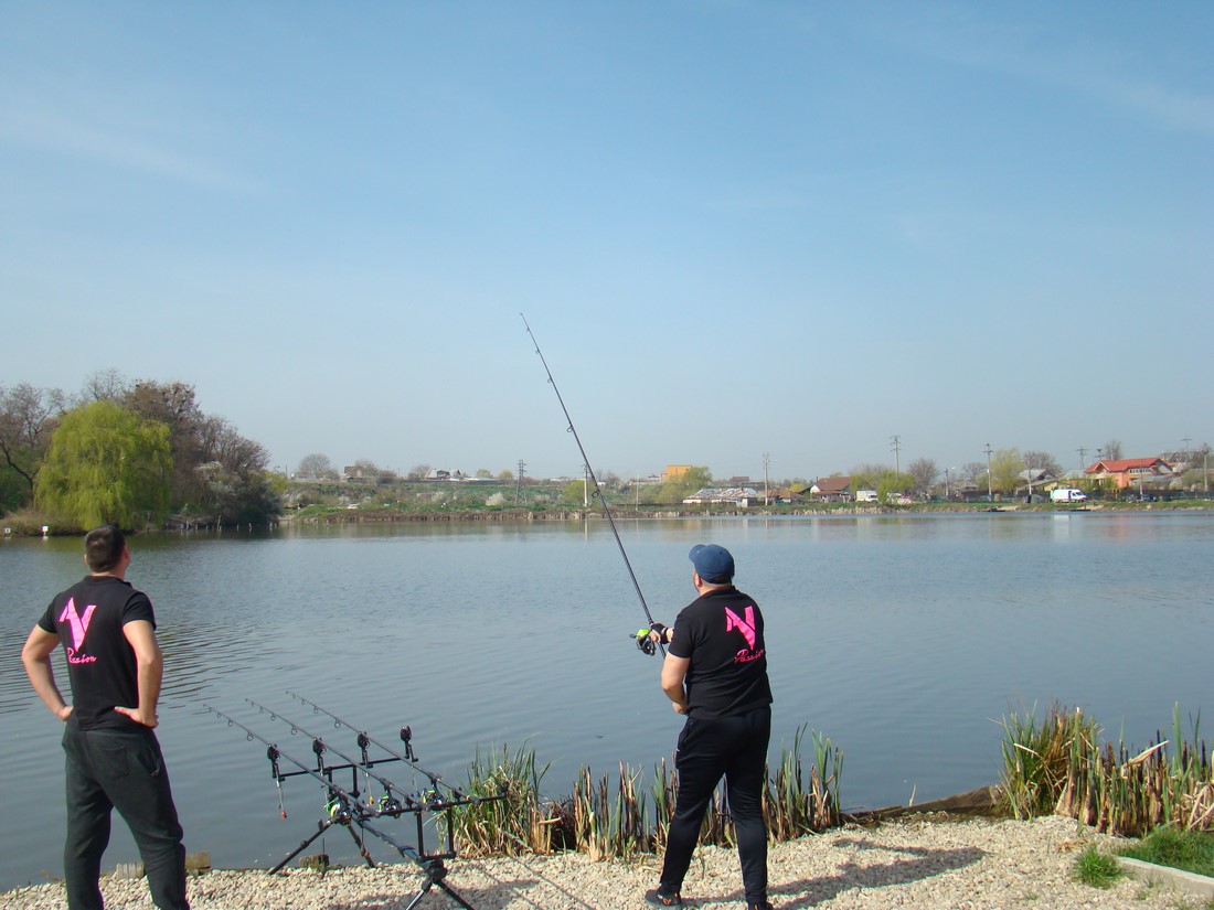 DSC01103 (Copy).JPG