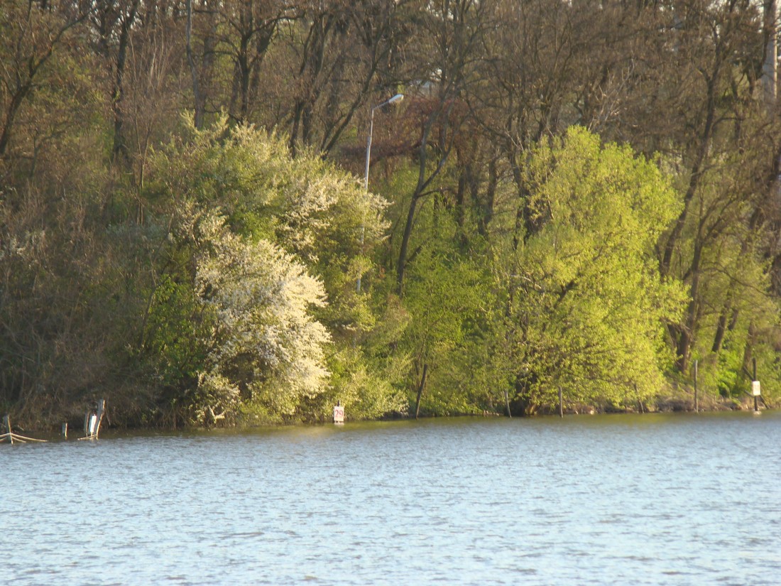 DSC01317 (Copy).JPG