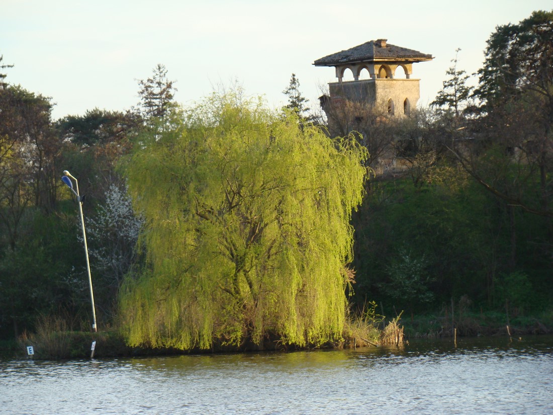 DSC01316 (Copy).JPG