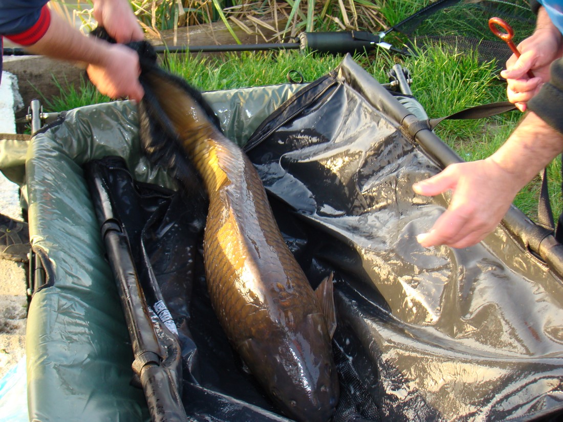 DSC01355 (Copy).JPG