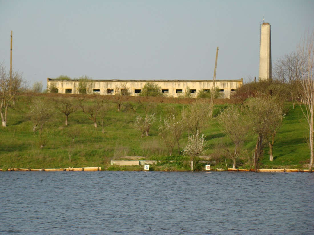 DSC01373 (Copy).JPG