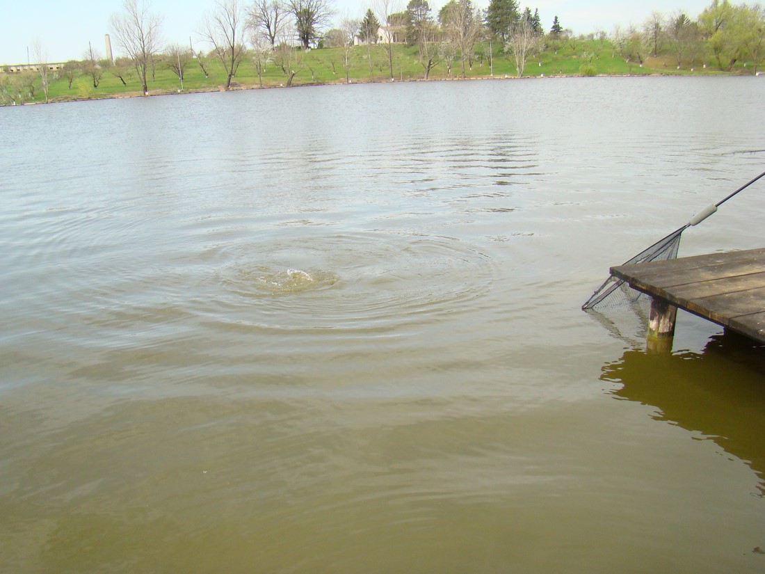 DSC01418 (Copy).JPG
