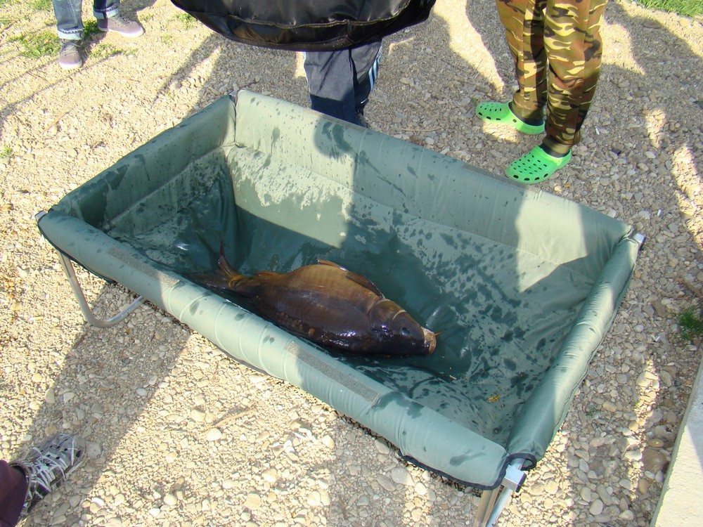 DSC01500 (Copy).JPG