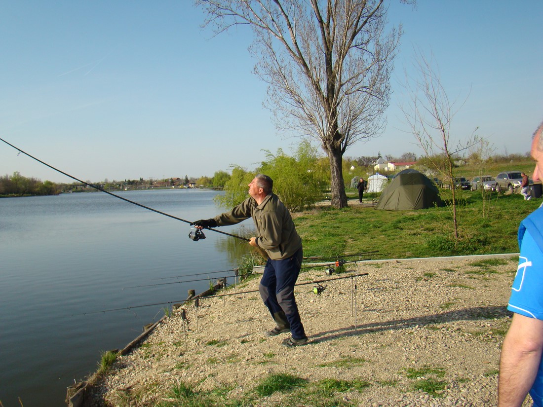 DSC01510 (Copy).JPG