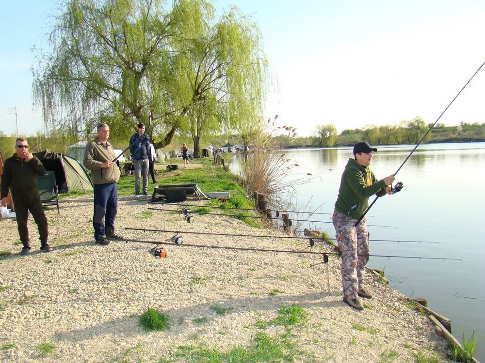 DSC01514 (Copy).JPG