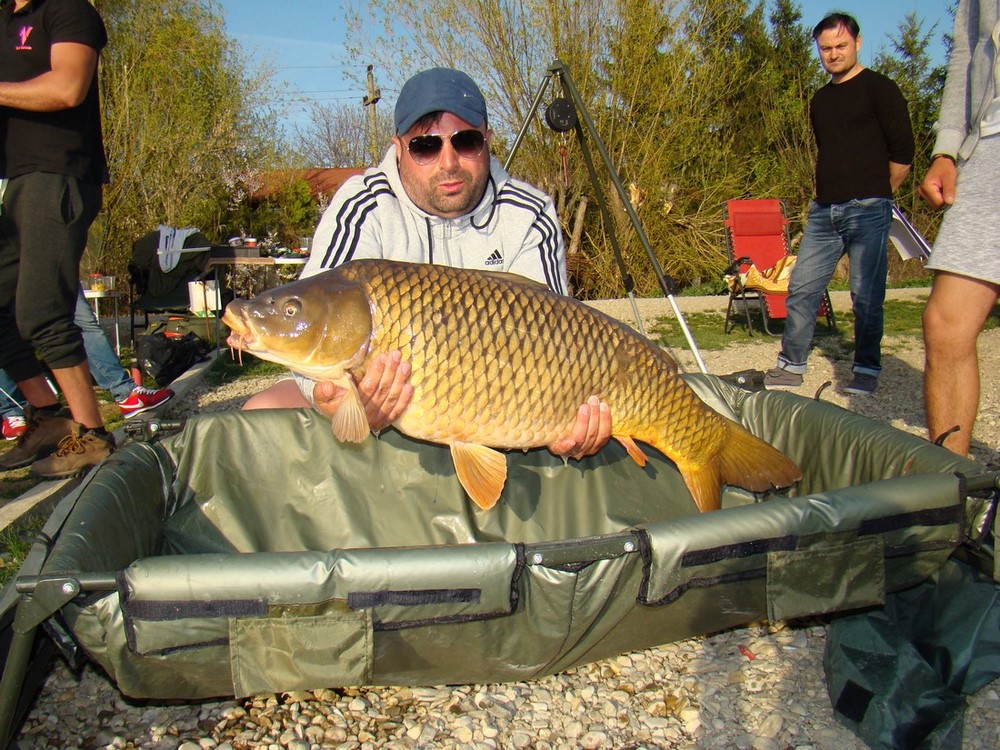 DSC01555 (Copy).JPG
