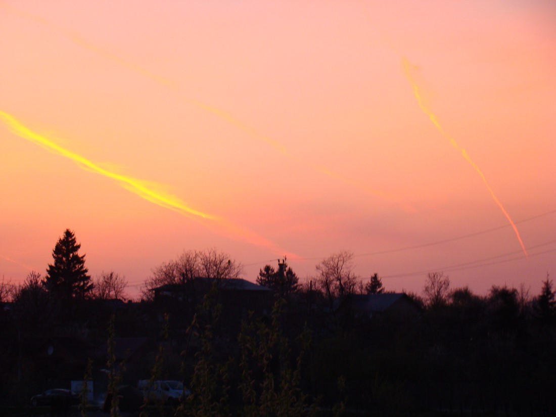 DSC01593 (Copy).JPG