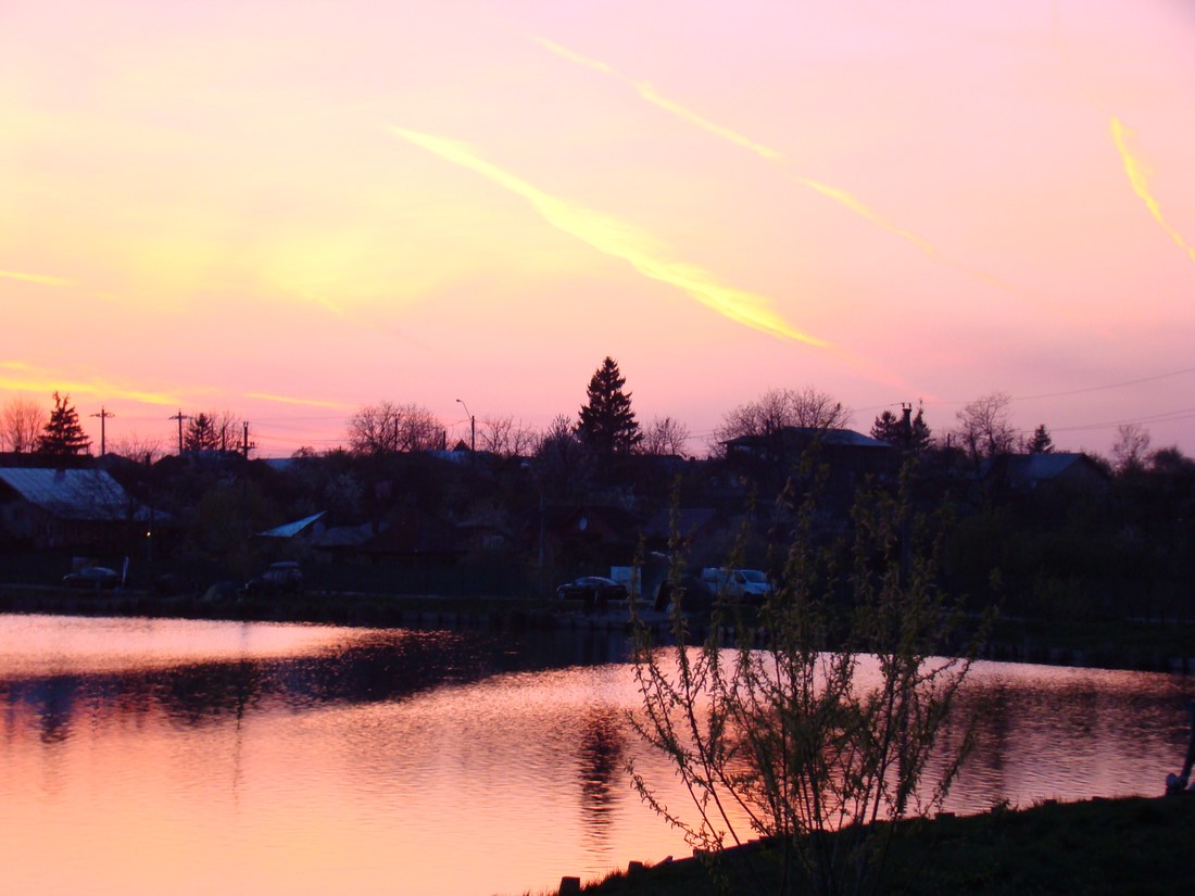DSC01592 (Copy).JPG