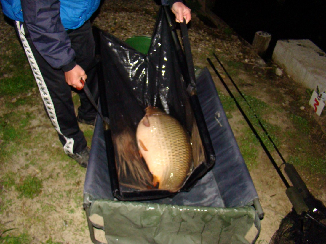 DSC01613 (Copy).JPG