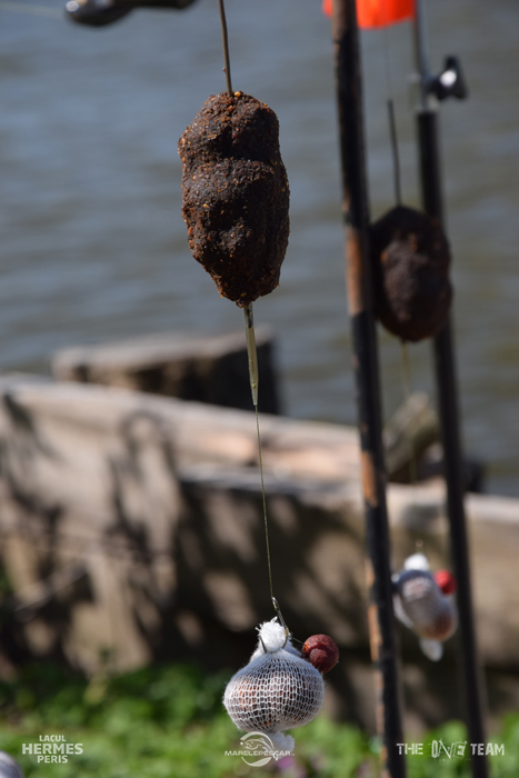 DSC_0147.jpg