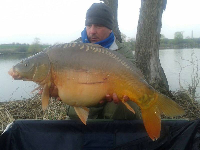 12970257_1156668371031531_156232175_o (1).jpg