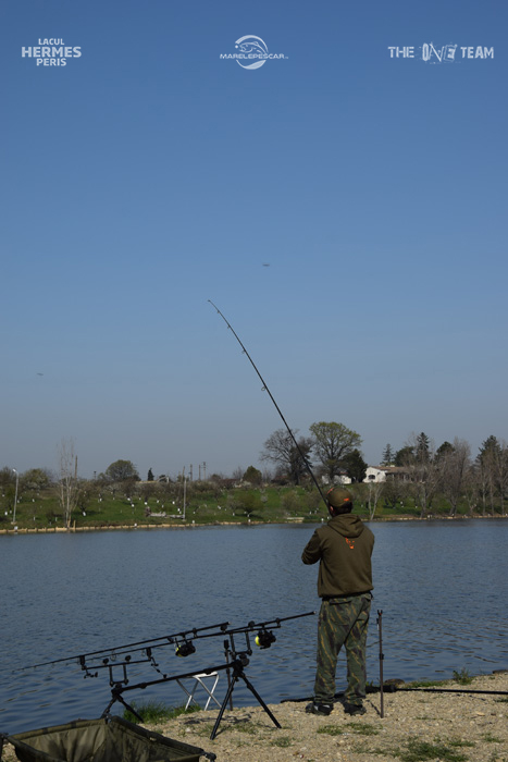 DSC_0123.jpg