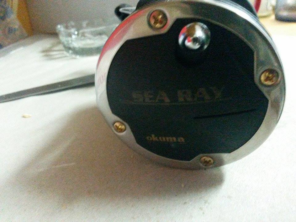 12312371_10205479912220273_666439312_n