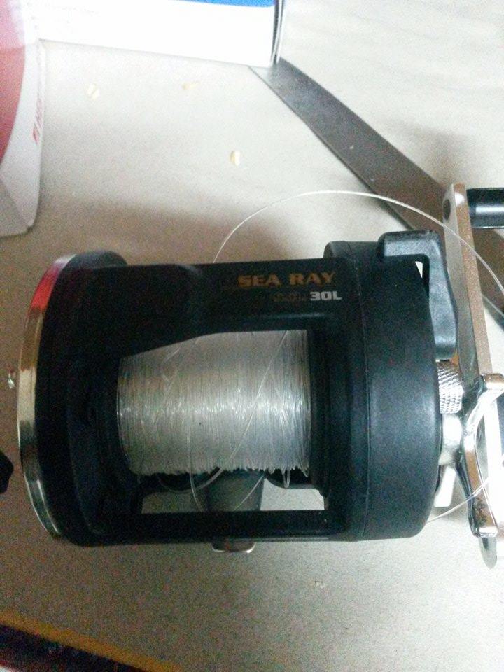 1466956_10205479910820238_507555823_o<br />12366823_10205479912420278_341286509_n<br />12366997_10205479912380277_1690336988_n<br />12367001_10205479912140271_1391706686_n(1)