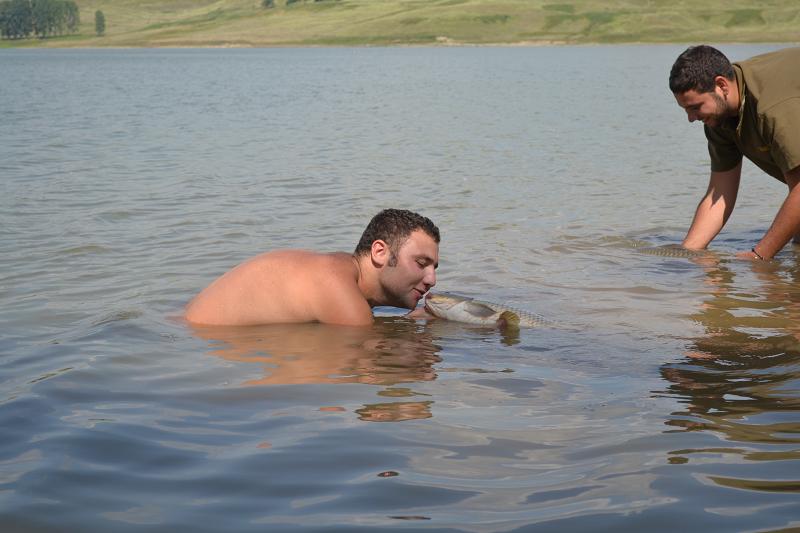 DSC_1290.jpg